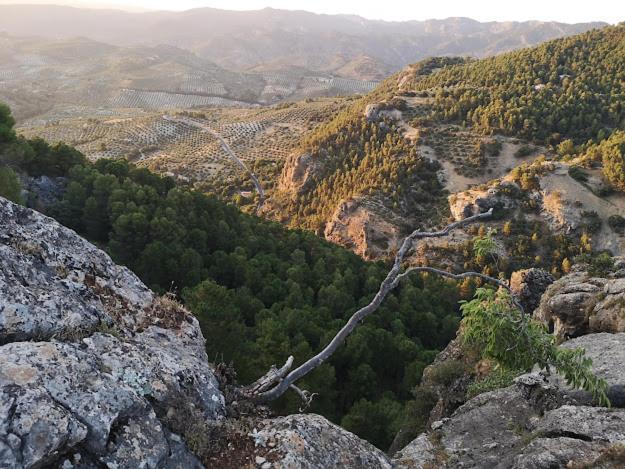 Vista Mora Sierra Cazorla Villa Ла Ируела Екстериор снимка
